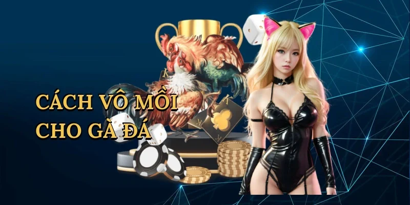 cách vô mồi cho gà đá