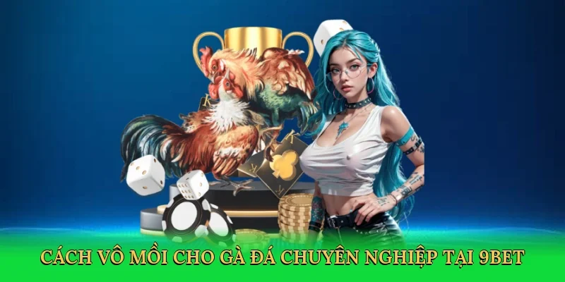Cách vô mồi cho gà đá chuyên nghiệp tại 9bet