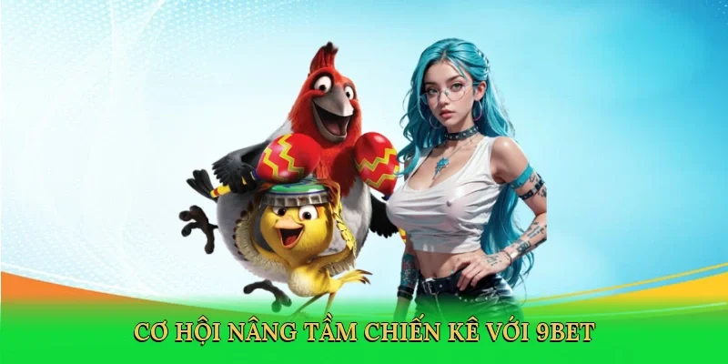 Cơ hội nâng tầm chiến kê với 9bet